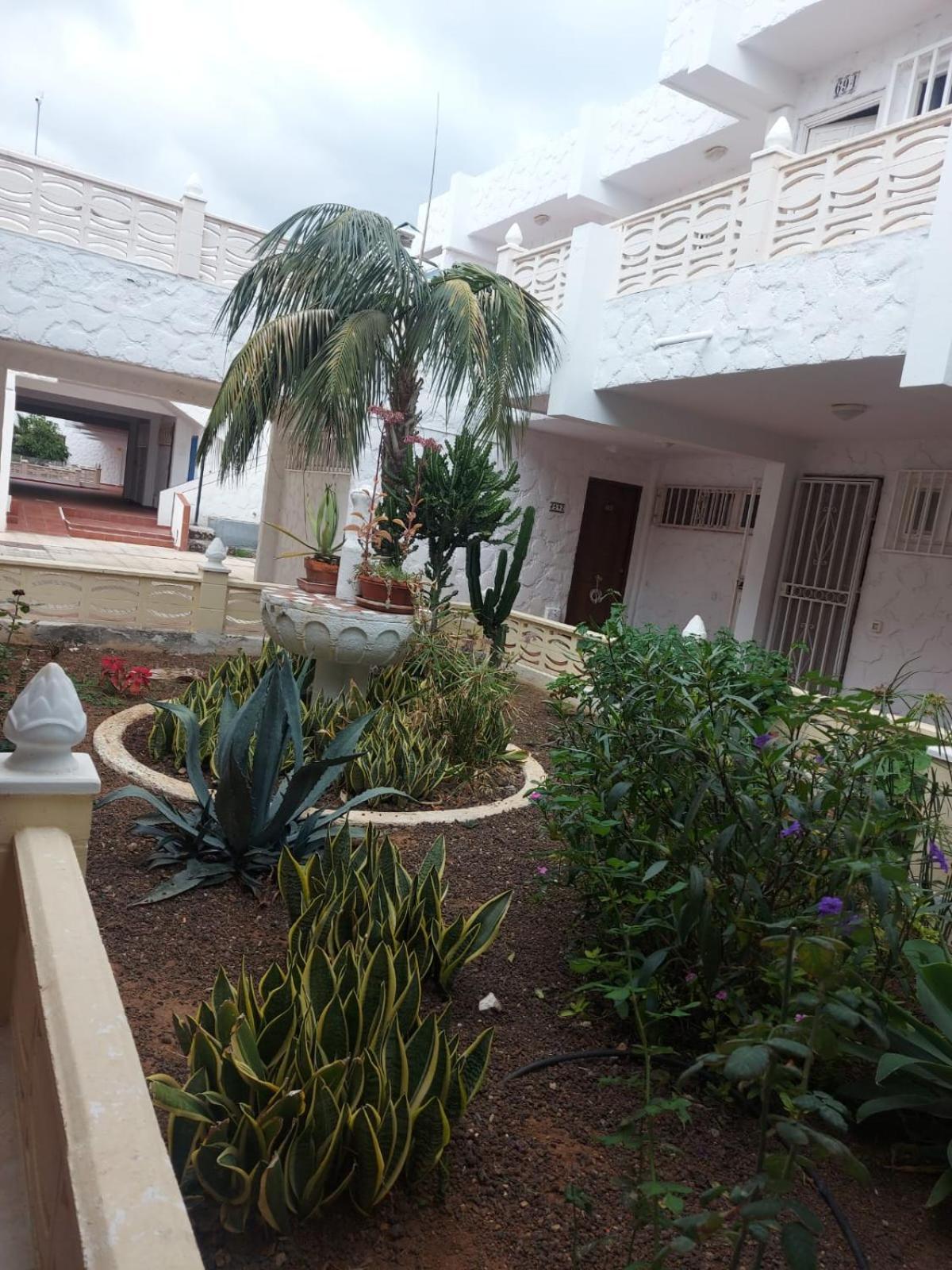 Apartmán Casa Papagayo Arona  Exteriér fotografie
