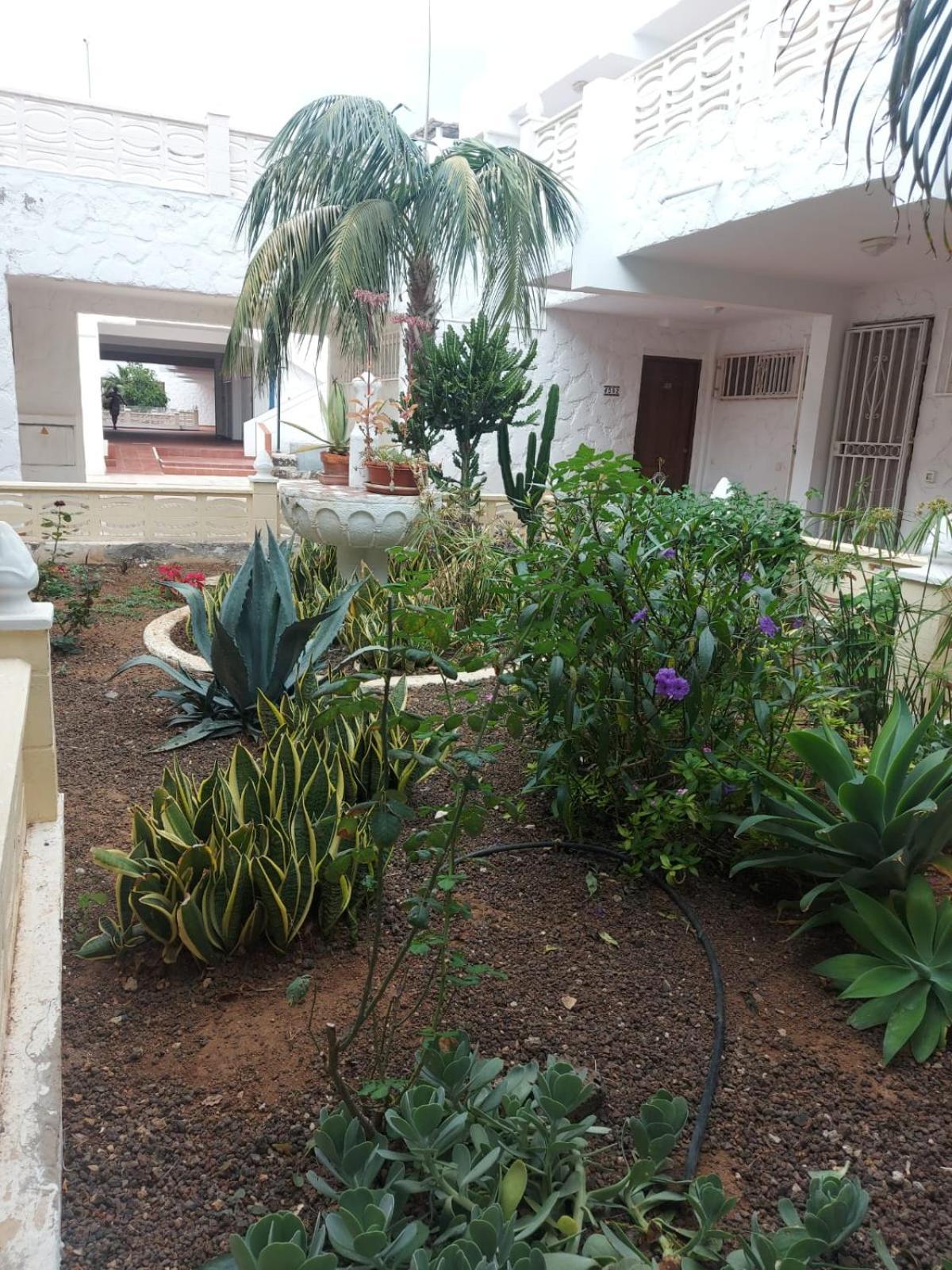 Apartmán Casa Papagayo Arona  Exteriér fotografie